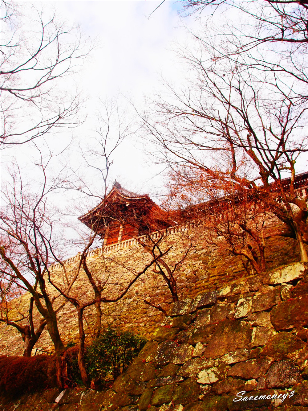 京都景點｜夢館豐彩本社和服初體驗,遊覽清水寺,地主神社