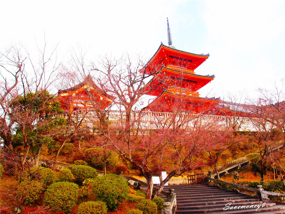 京都景點｜夢館豐彩本社和服初體驗,遊覽清水寺,地主神社