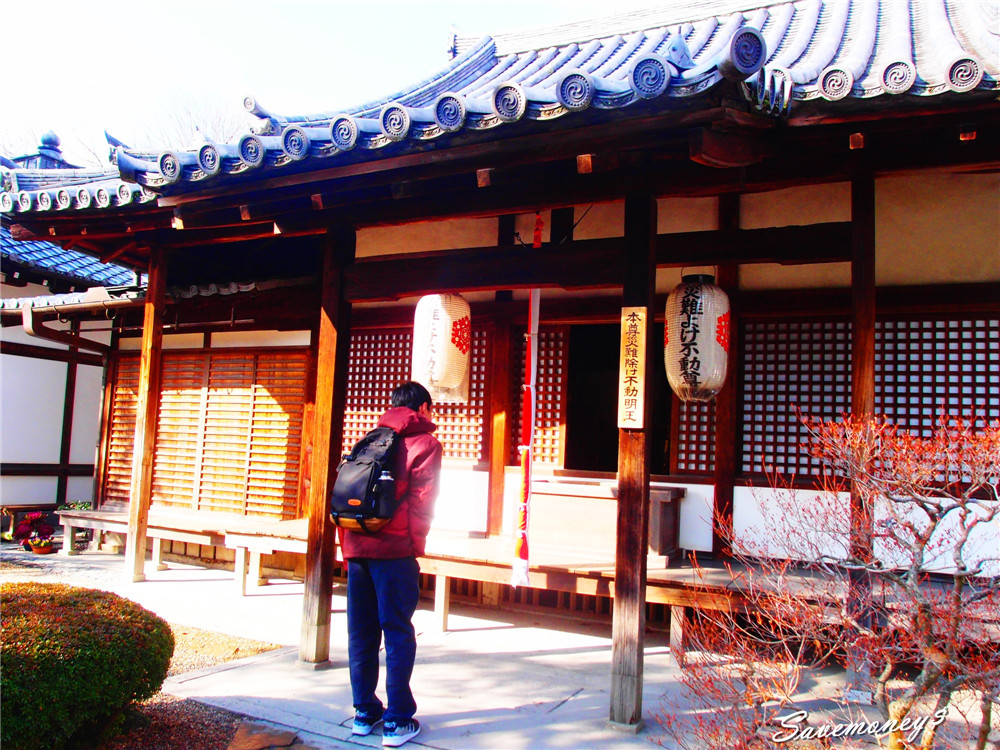 平等院｜京都景點,日本人心中對極樂世界的想望