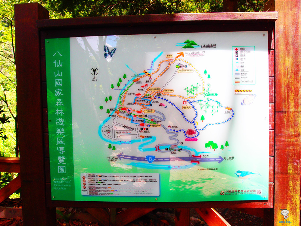 八仙山森林遊樂區｜走步道享芬多精,還可看免費展覽
