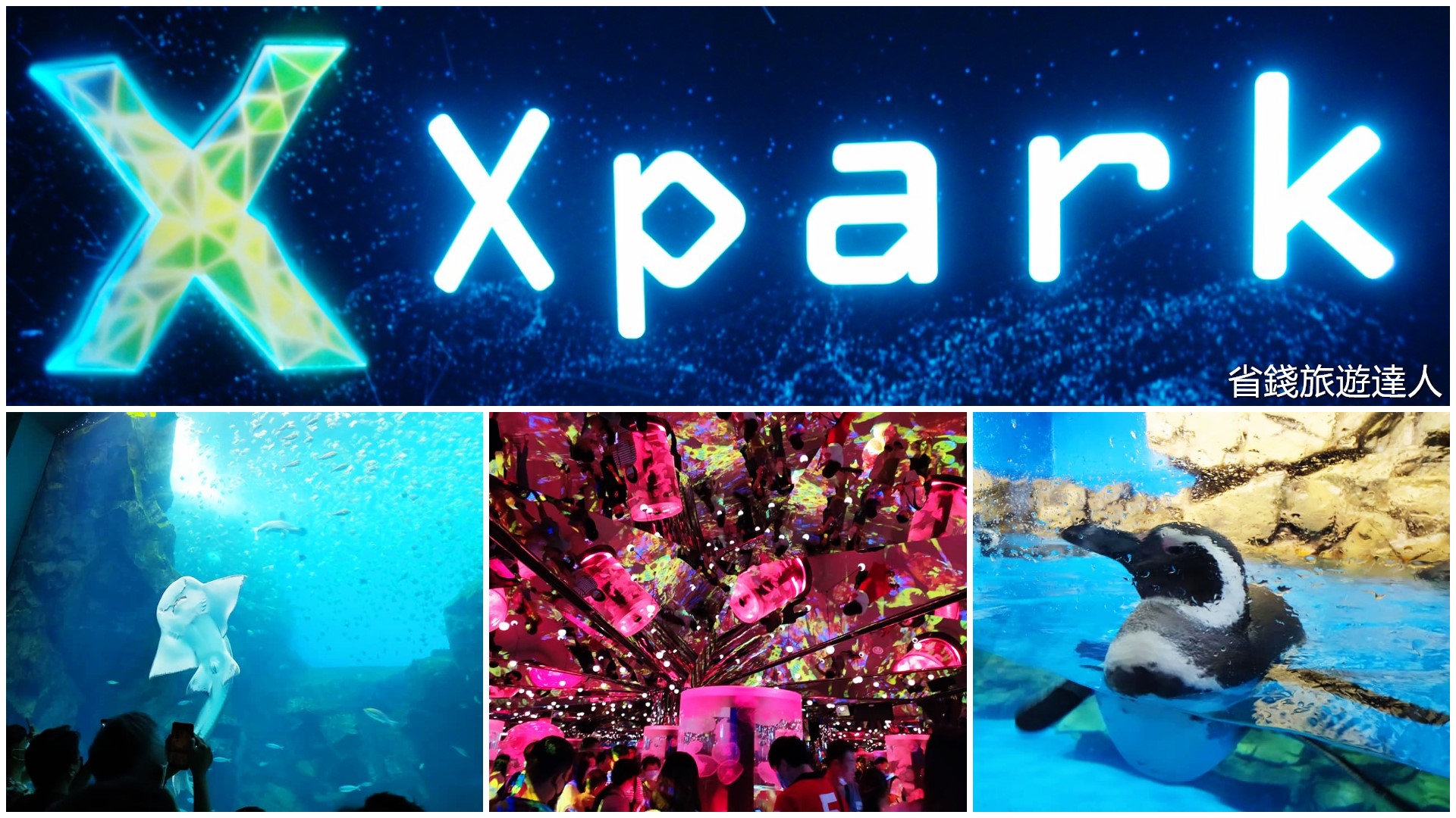 Xpark｜日本八景島海外第一分館,8大必看亮點