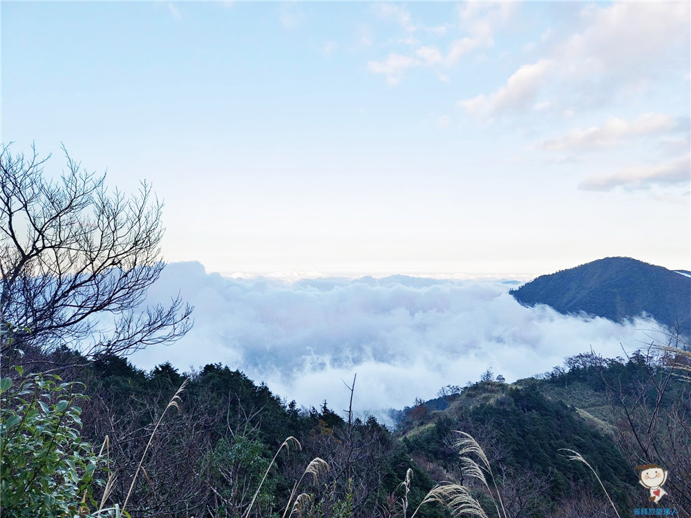 山毛櫸步道｜宜蘭太平山景點,秋天專屬的季節限定美景