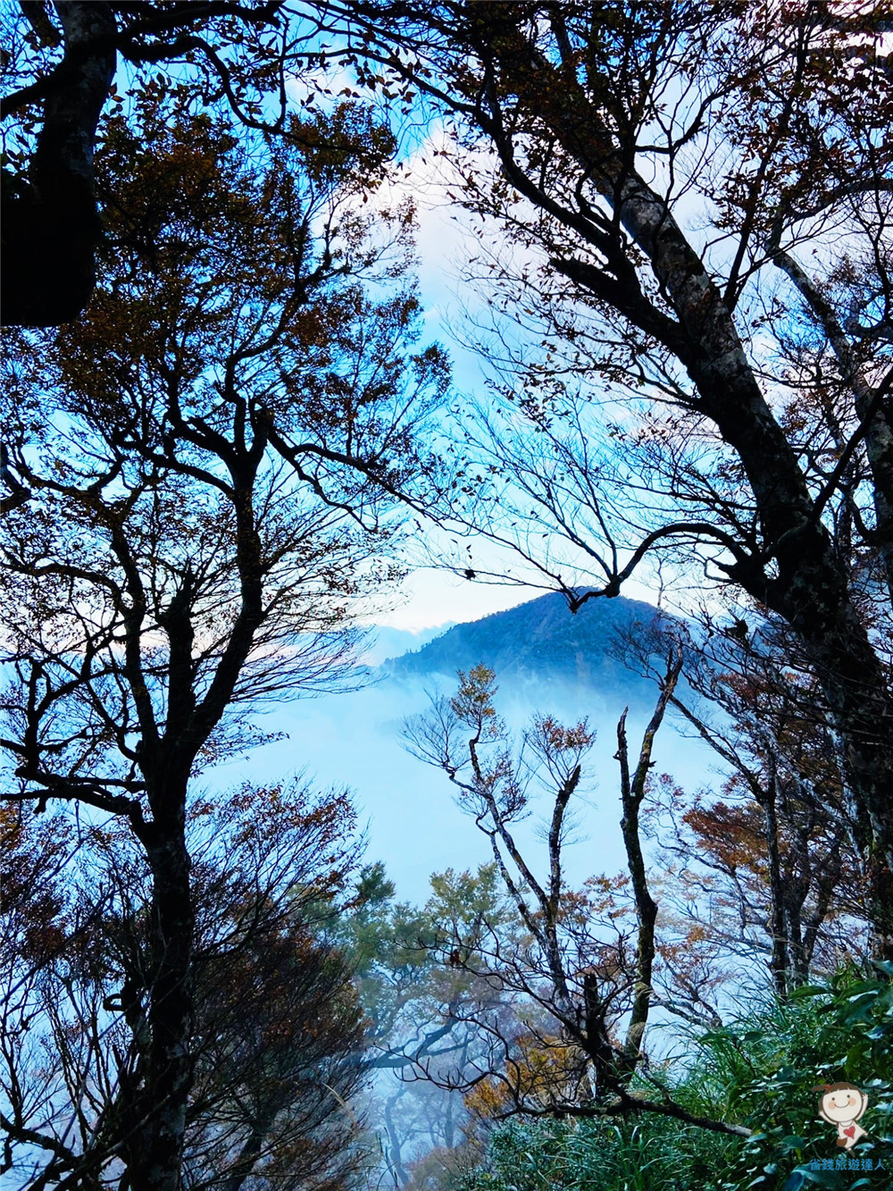 山毛櫸步道｜宜蘭太平山景點,秋天專屬的季節限定美景