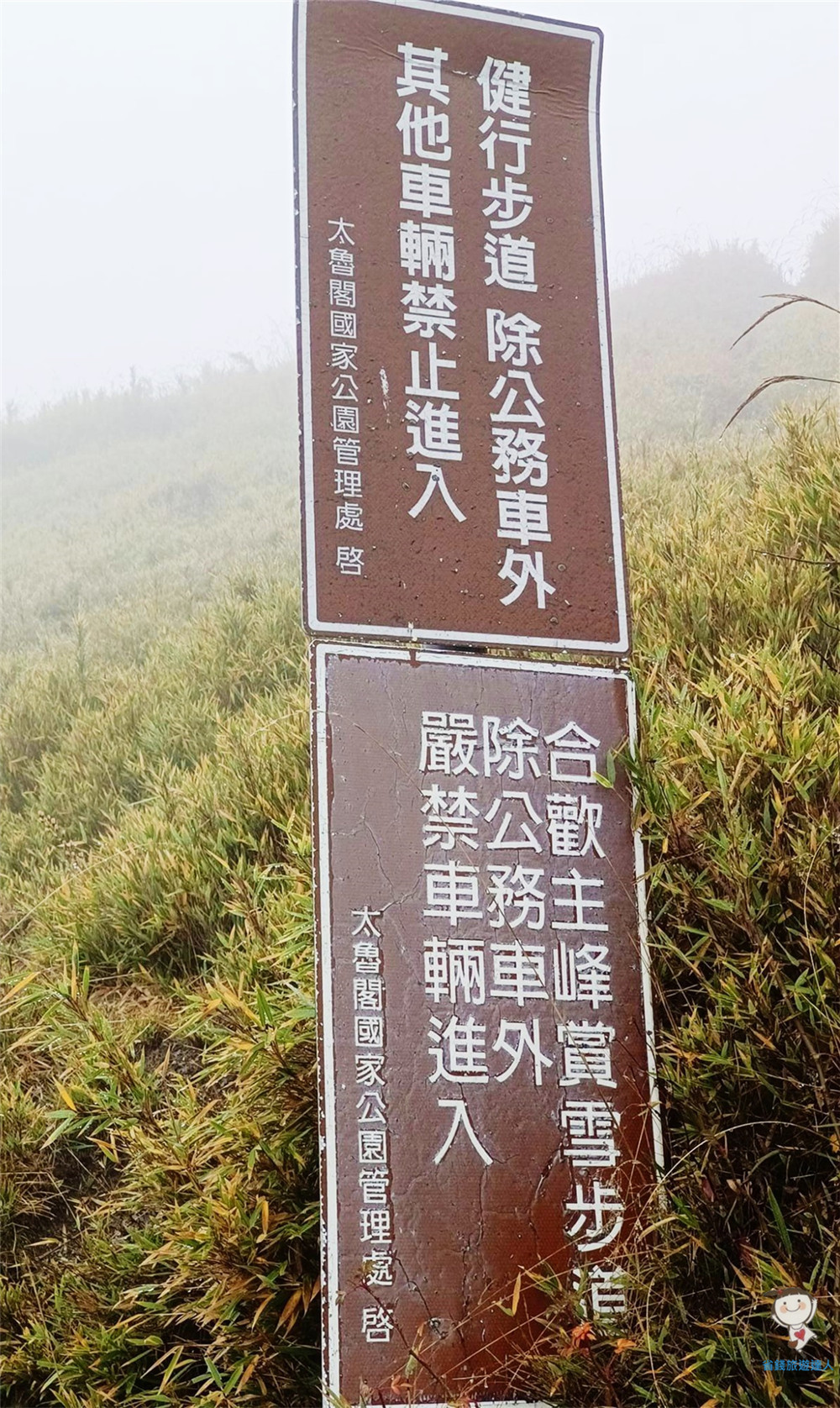 合歡主峰｜賞雪步道超好走,1小時即可登頂的百岳