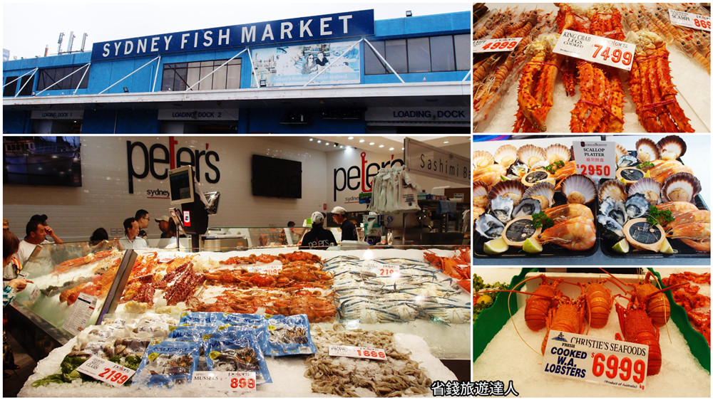 雪梨魚市場｜澳洲必訪世界第三大魚市,大啖海鮮好去處