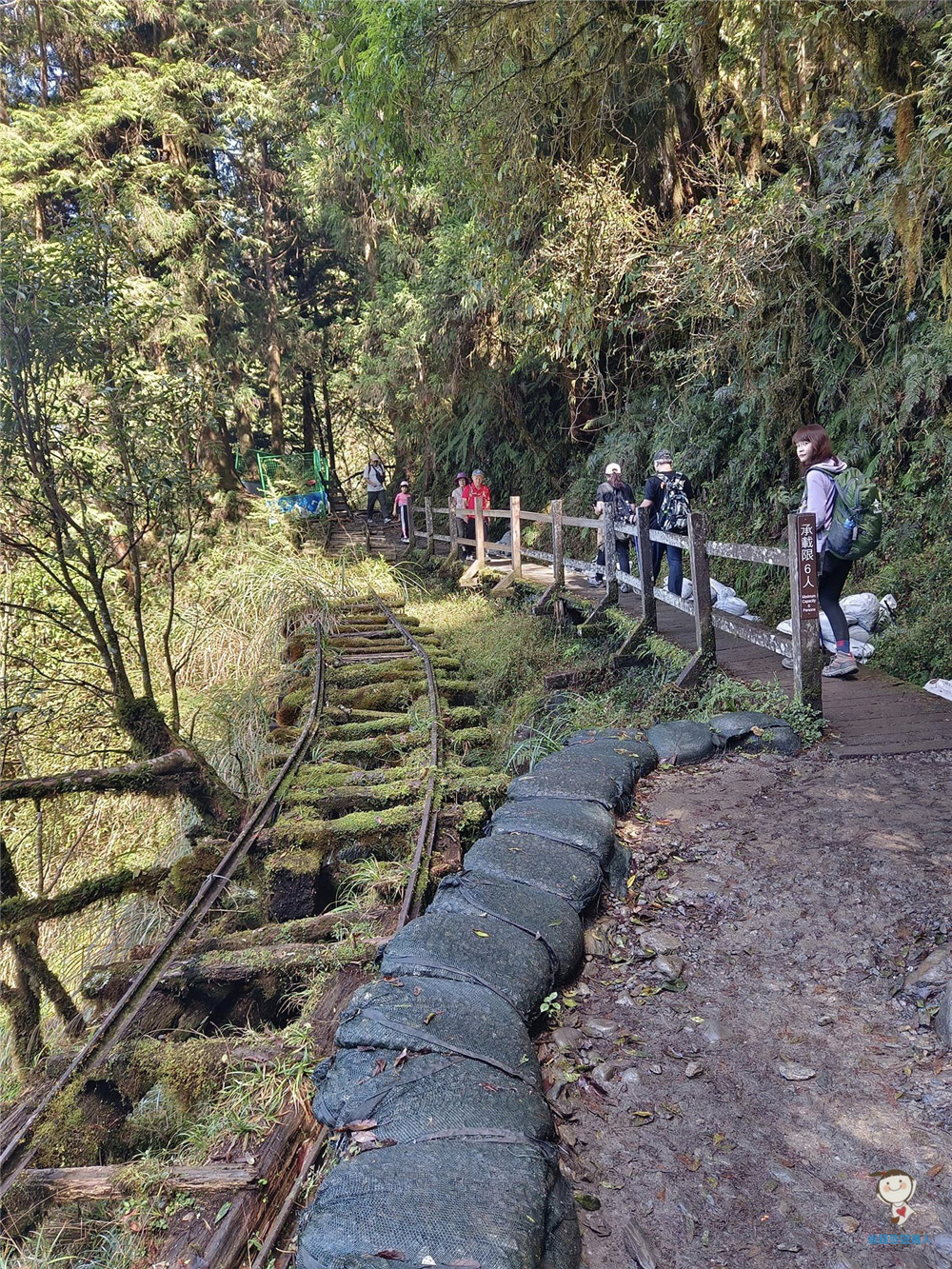 好消暑！宜蘭太平山見晴懷古步道,全球最美小路