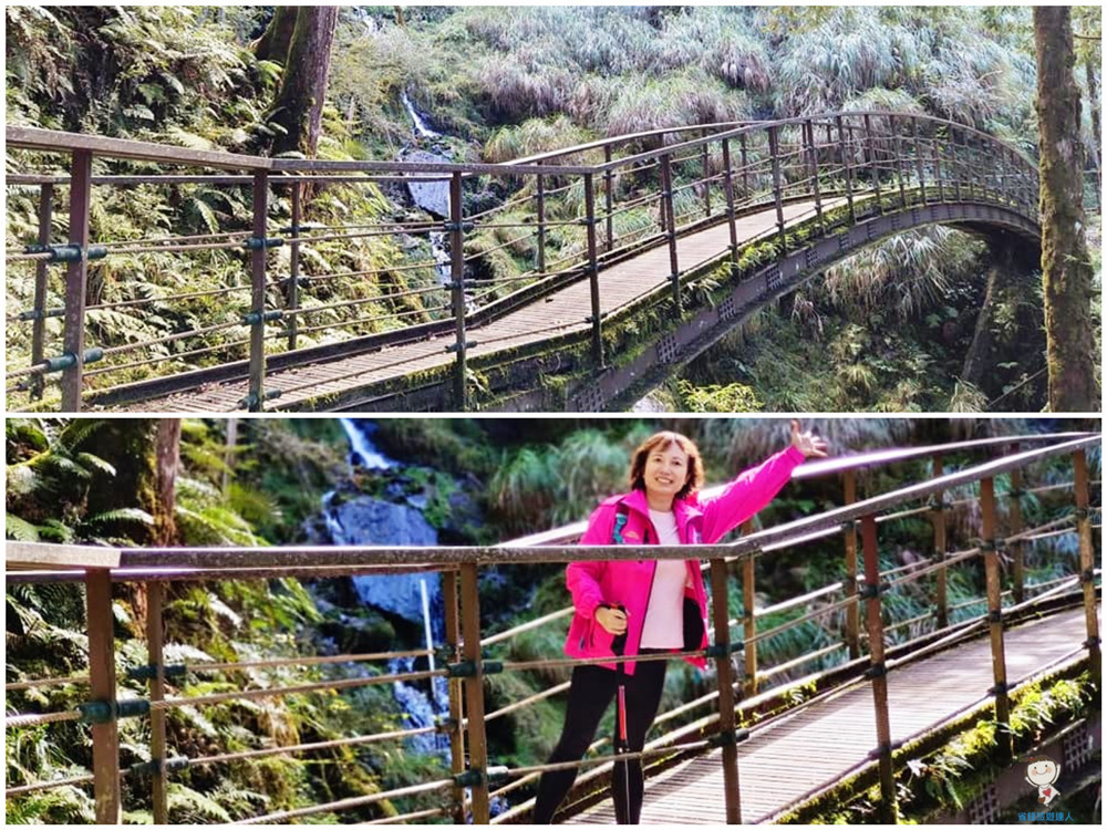 好消暑！宜蘭太平山見晴懷古步道,全球最美小路