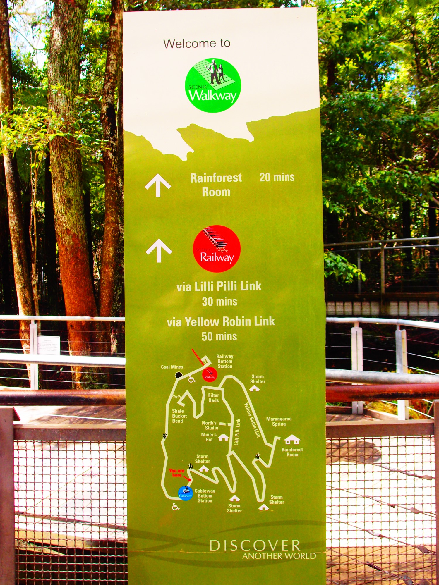 澳洲旅遊｜藍山國家公園必訪,搭乘世界最陡纜車