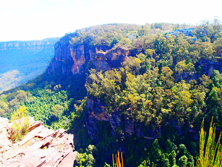 澳洲旅遊｜藍山國家公園必訪,搭乘世界最陡纜車