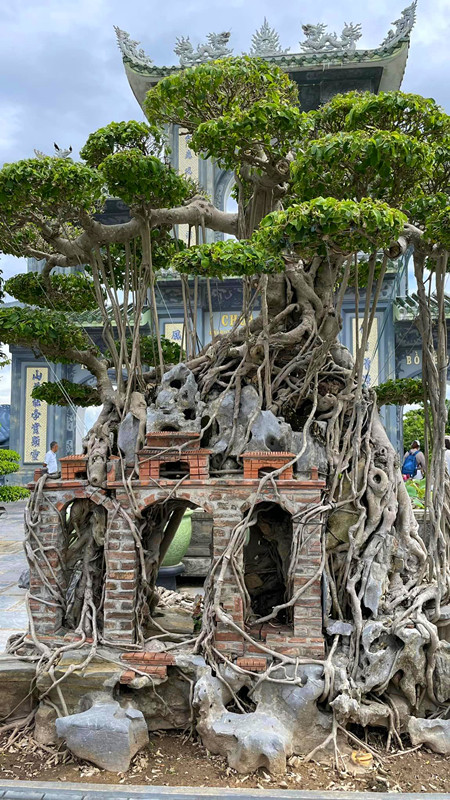 山茶半島靈應寺