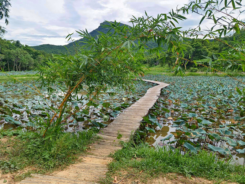 美山聖地