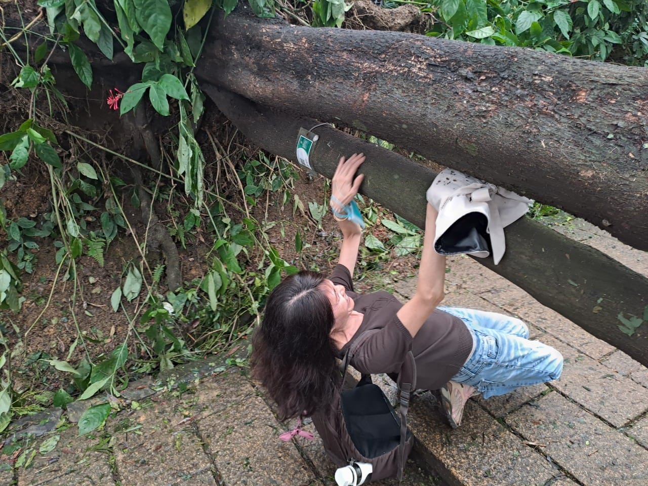 虎山步道