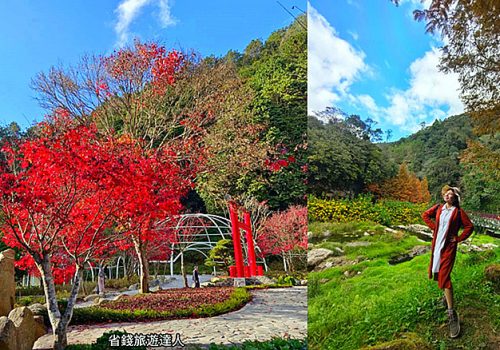 杉林溪楓紅了!台灣賞楓勝地,還有杉林溪住宿交通美食資訊