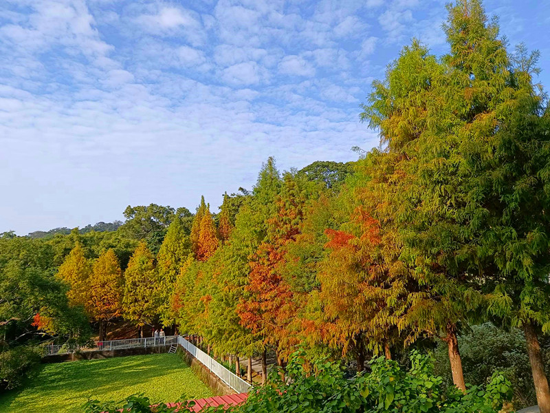 普羅旺斯莊園餐廳