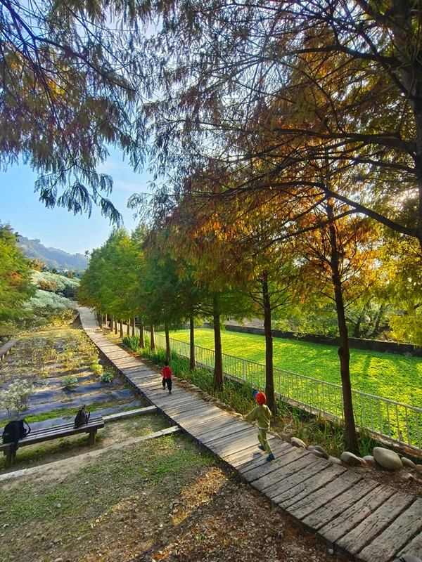 普羅旺斯莊園餐廳