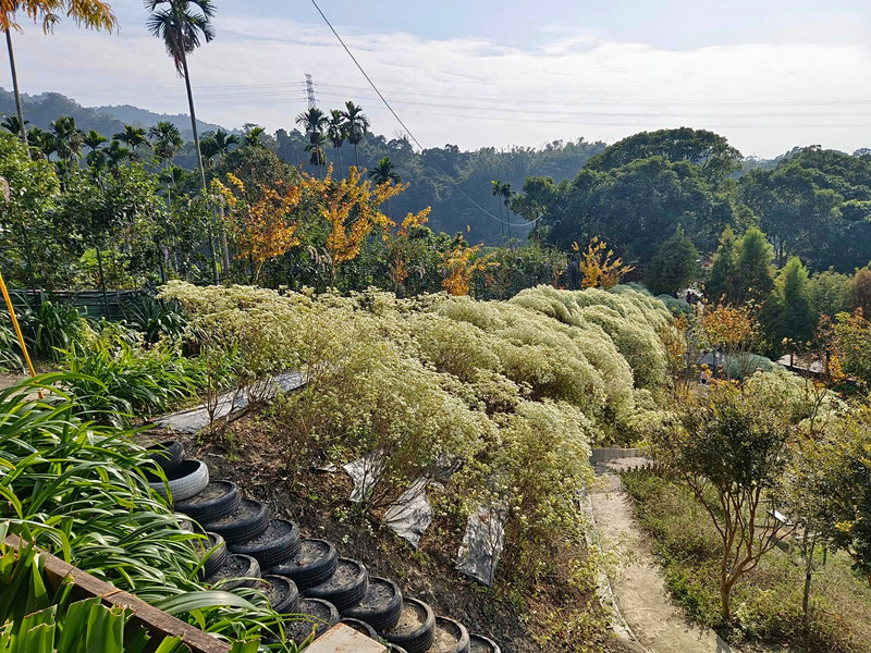 普羅旺斯莊園餐廳