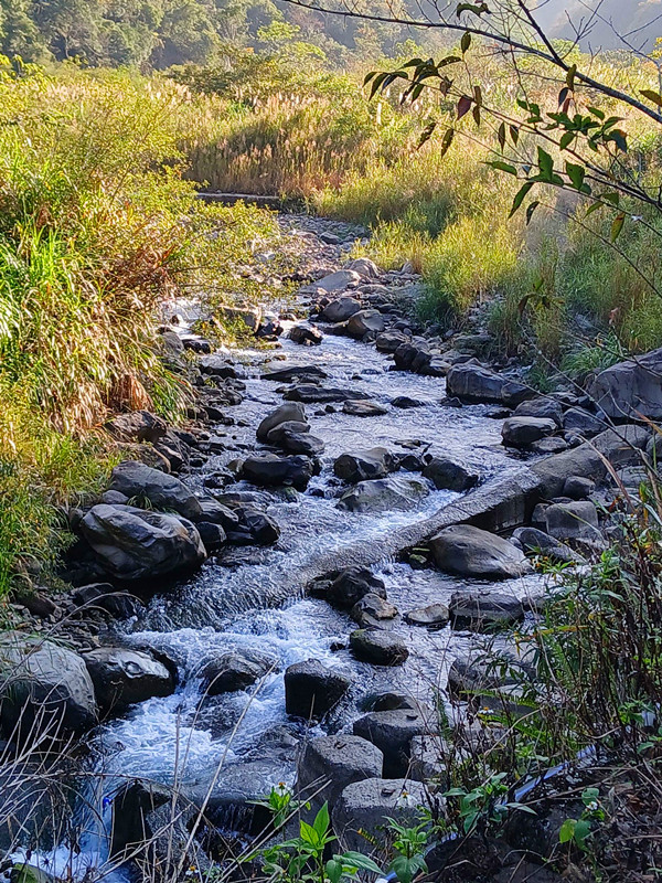 水雲吊橋