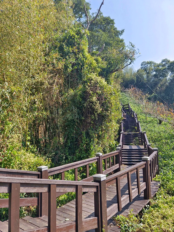 后里鳳凰山步道