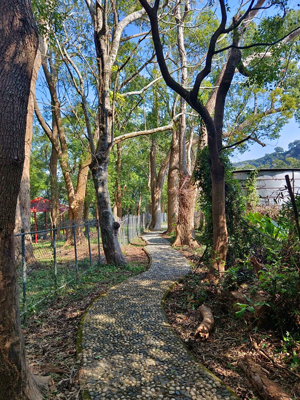 后里鳳凰山步道