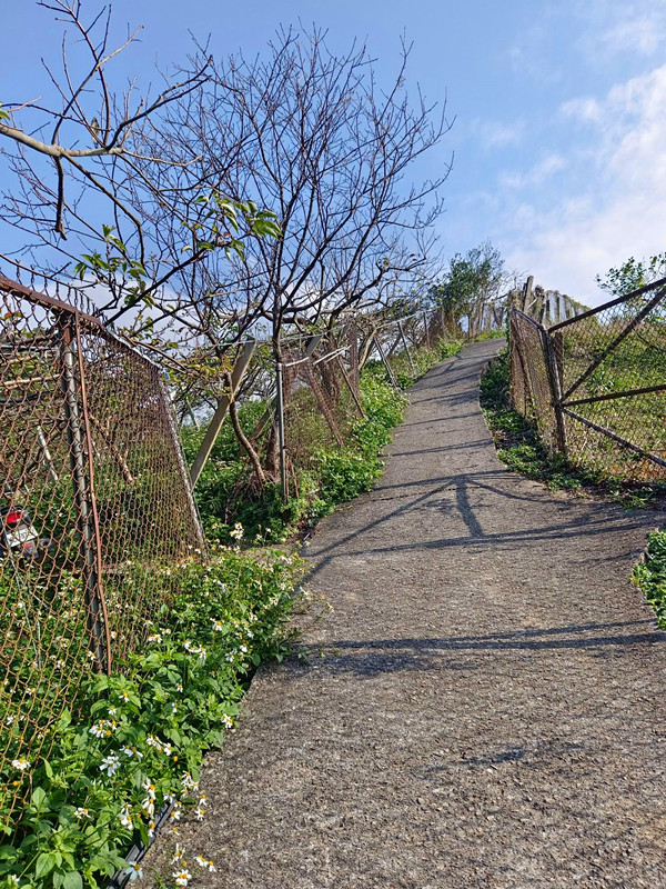 后里鳳凰山步道