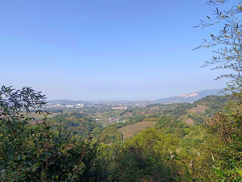 后里鳳凰山步道