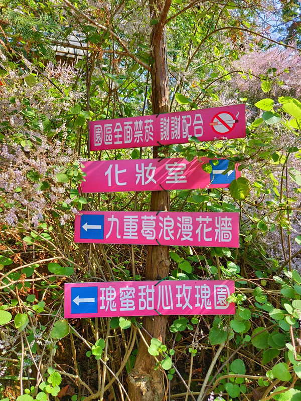 瑰蜜甜心玫瑰園