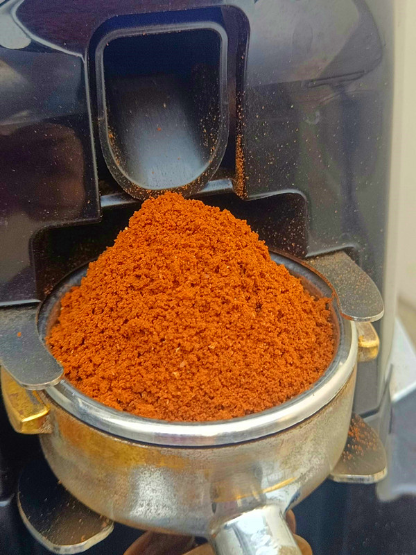 王力王非
