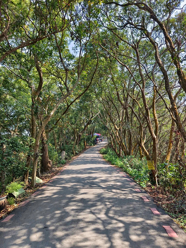 藤山步道