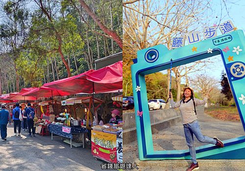 彰化景點｜藤山步道,全台最好吃步道,平緩易走,還能欣賞桐花美景