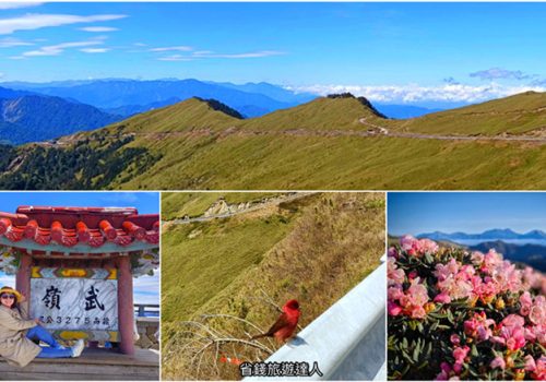 2025合歡山花季,即日起至6/15,交通路線及停車資訊資訊懶人包