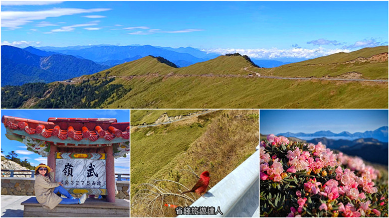 2025合歡山花季,即日起至6/15,交通路線及停車資訊資訊懶人包 2025合歡山花季,即日起至6/15,交通路線及停車資訊資訊懶人包