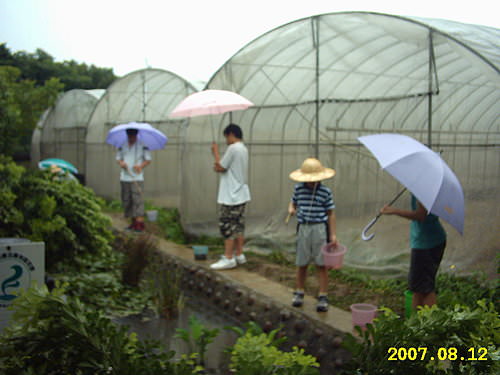 雨中即景~活力健康休閒農場