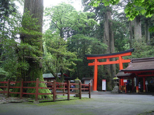 2010東京箱根之旅(8)~箱根神社
